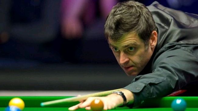 基本面验证 基本面验证